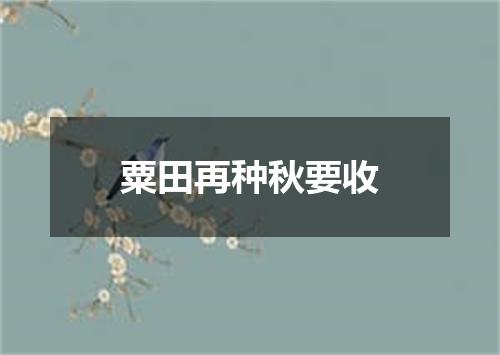 粟田再种秋要收