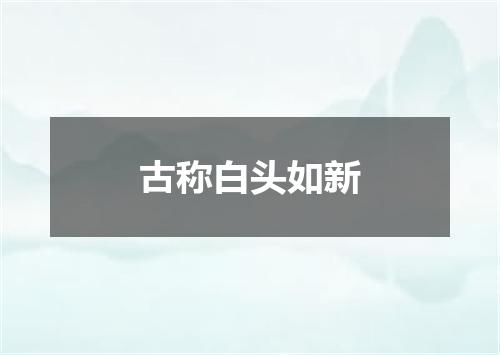古称白头如新