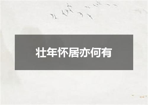 壮年怀居亦何有