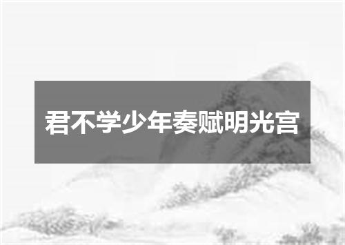 君不学少年奏赋明光宫