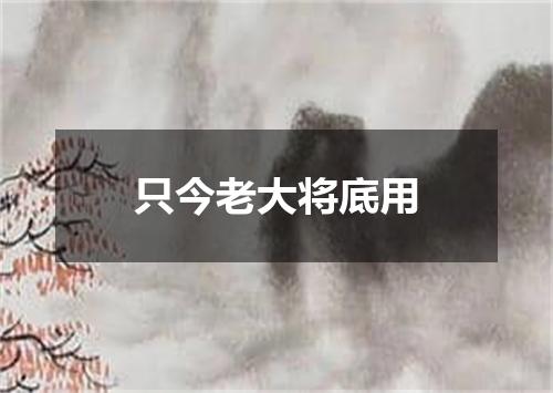 只今老大将底用