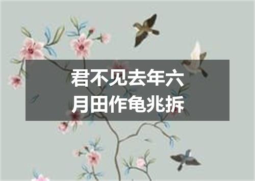 君不见去年六月田作龟兆拆