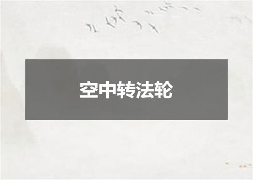 空中转法轮