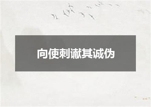 向使刺谳其诚伪