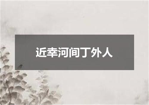 近幸河间丁外人