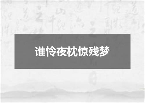 谁怜夜枕惊残梦