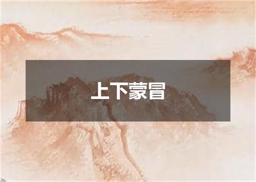 上下蒙冒