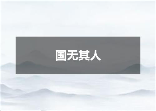 国无其人