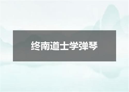 终南道士学弹琴