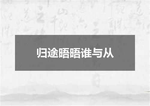 归途晤晤谁与从