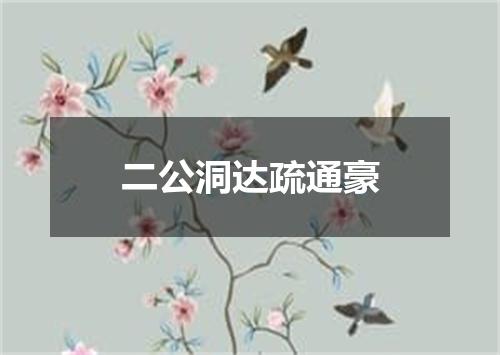 二公洞达疏通豪