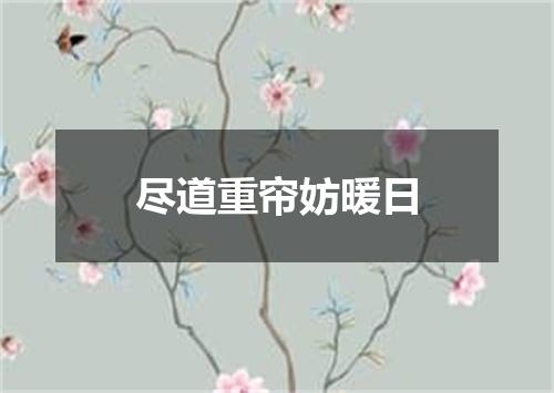 尽道重帘妨暖日