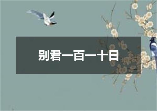 别君一百一十日