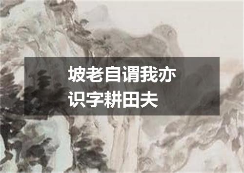 坡老自谓我亦识字耕田夫