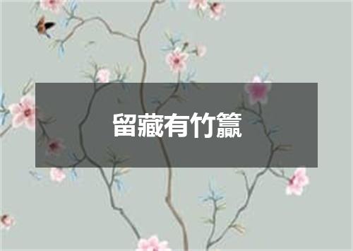 留藏有竹籯