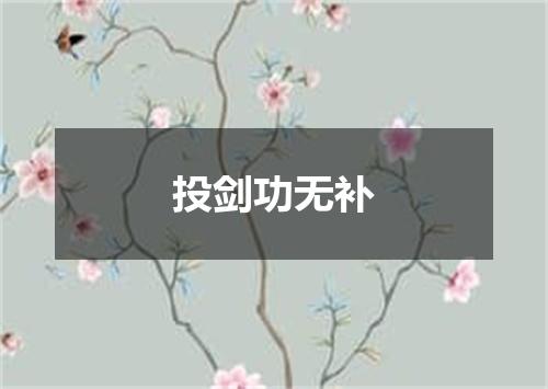 投剑功无补