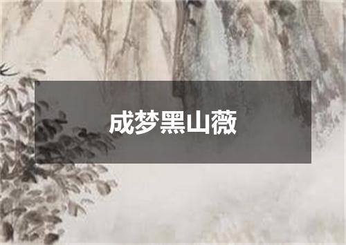 成梦黑山薇