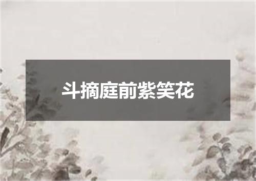 斗摘庭前紫笑花
