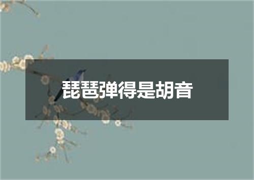 琵琶弹得是胡音