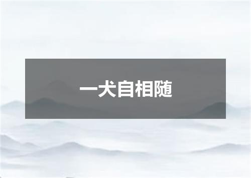 一犬自相随