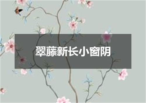 翠藤新长小窗阴