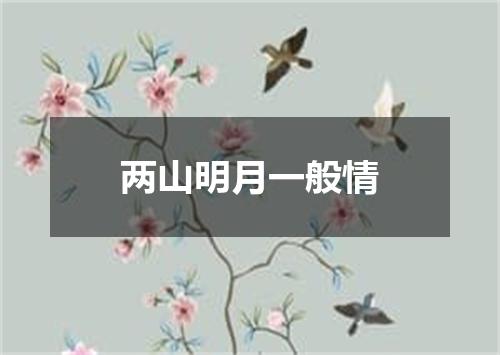 两山明月一般情