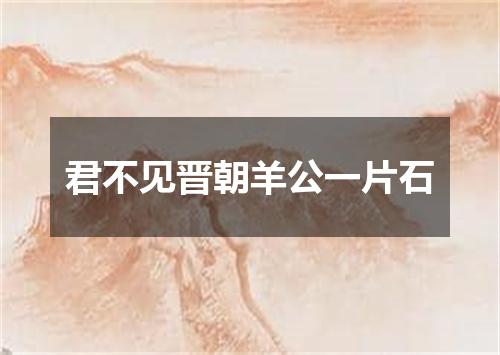 君不见晋朝羊公一片石