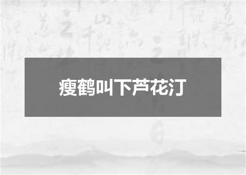 瘦鹤叫下芦花汀