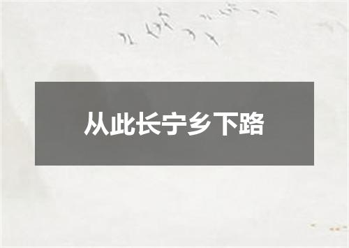 从此长宁乡下路