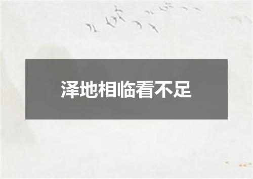 泽地相临看不足
