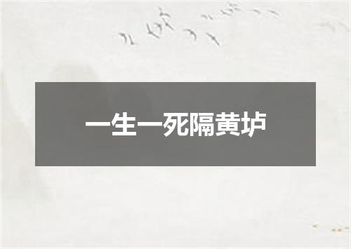 一生一死隔黄垆