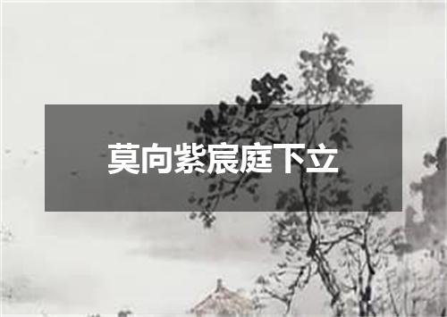 莫向紫宸庭下立