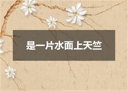 是一片水面上天竺