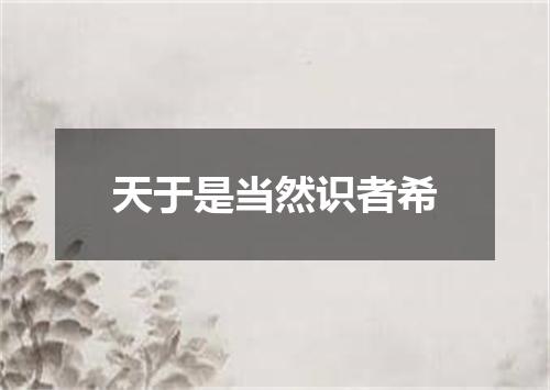 天于是当然识者希