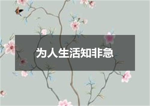 为人生活知非急