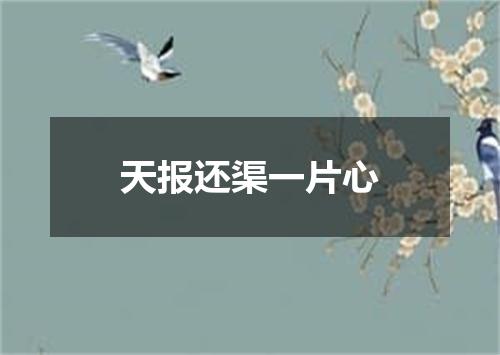 天报还渠一片心