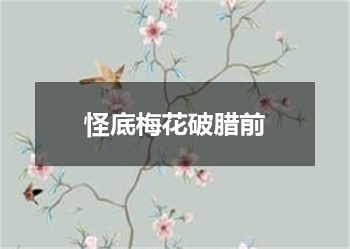 怪底梅花破腊前