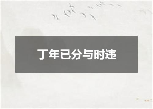 丁年已分与时违