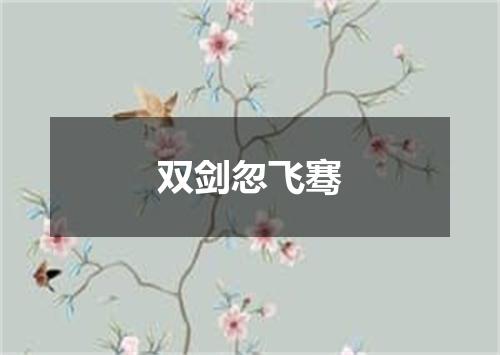 双剑忽飞骞