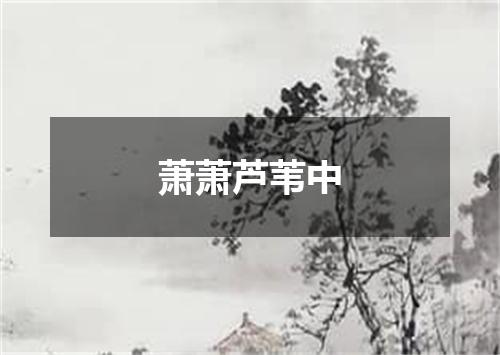 萧萧芦苇中