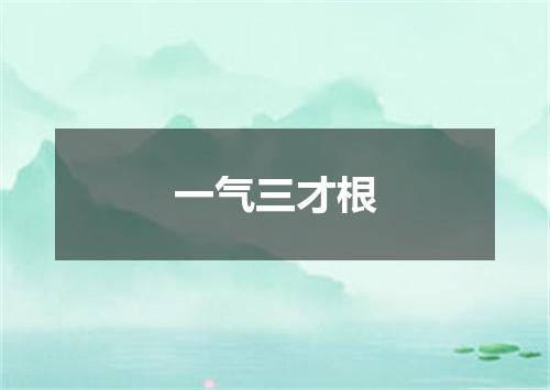 一气三才根