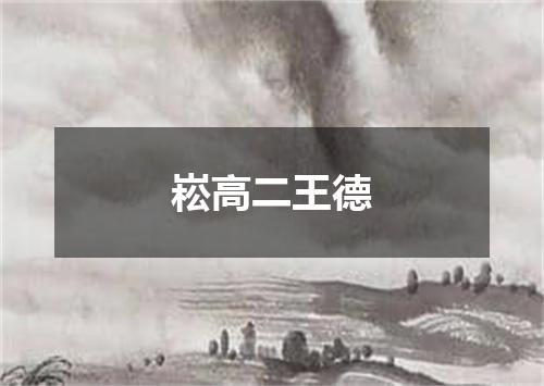 崧高二王德