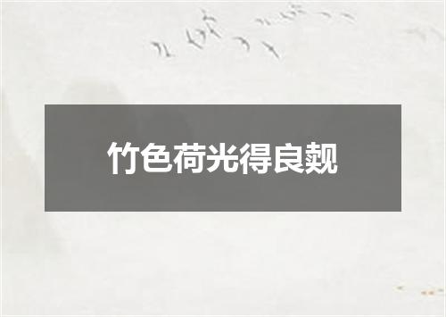 竹色荷光得良觌