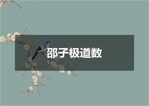 邵子极道数