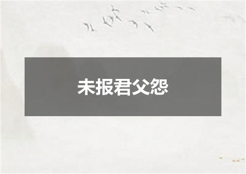 未报君父怨