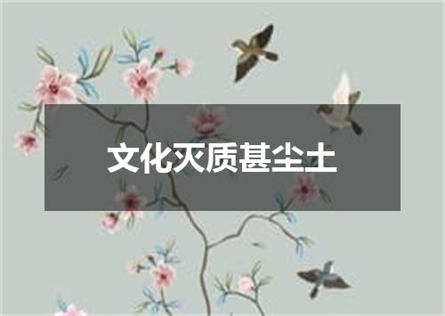 文化灭质甚尘土