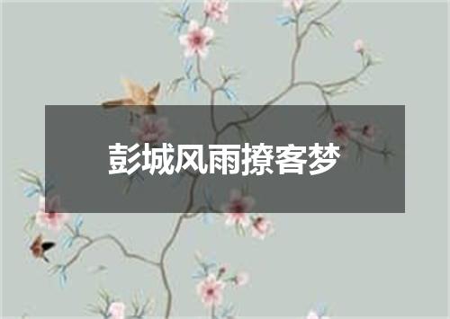彭城风雨撩客梦