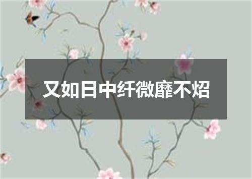 又如日中纤微靡不炤