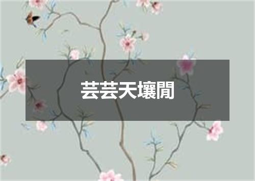 芸芸天壤閒