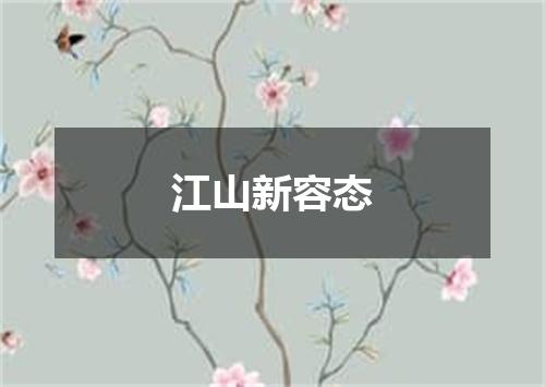 江山新容态
